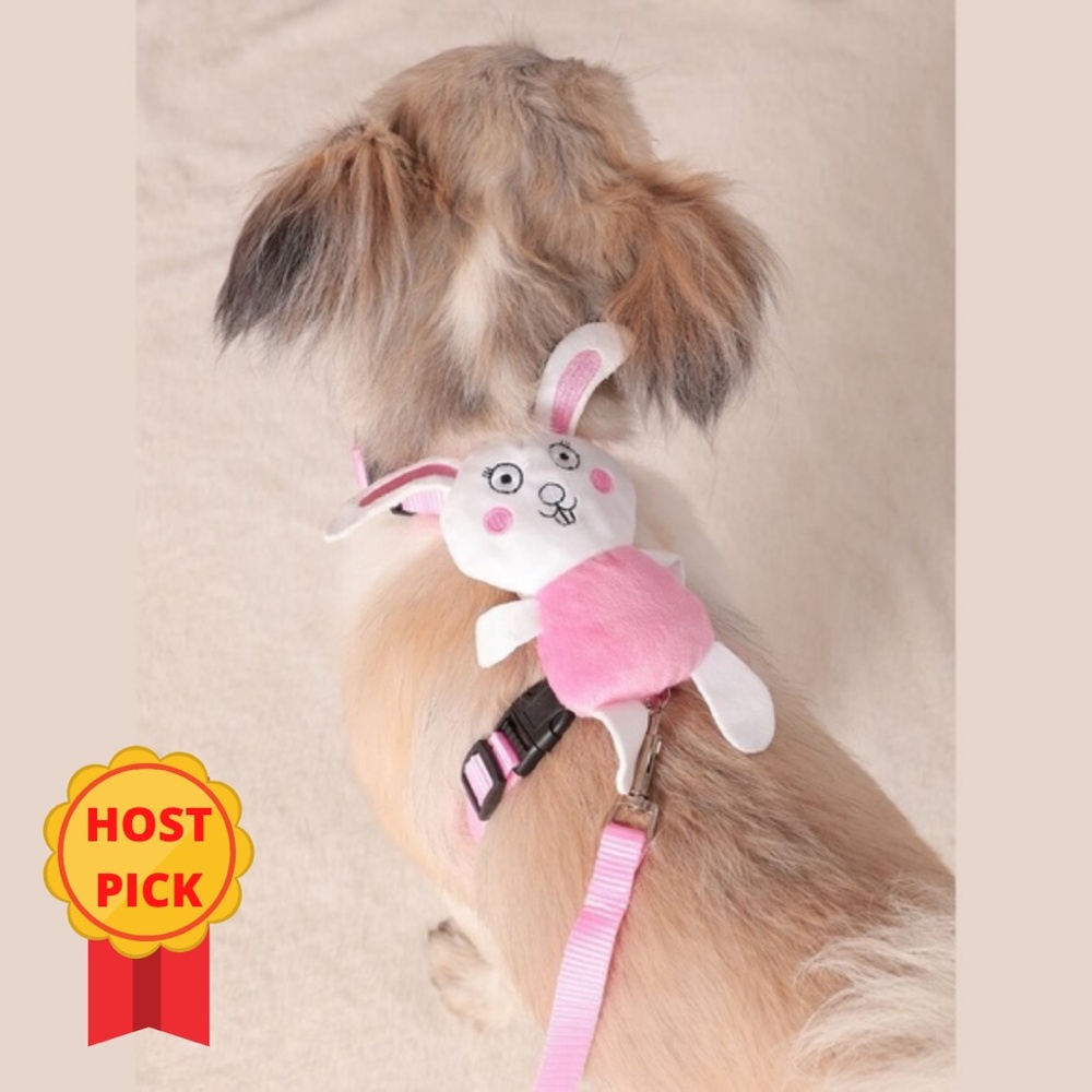 Rabbit Pet Harness & 1pc Leash